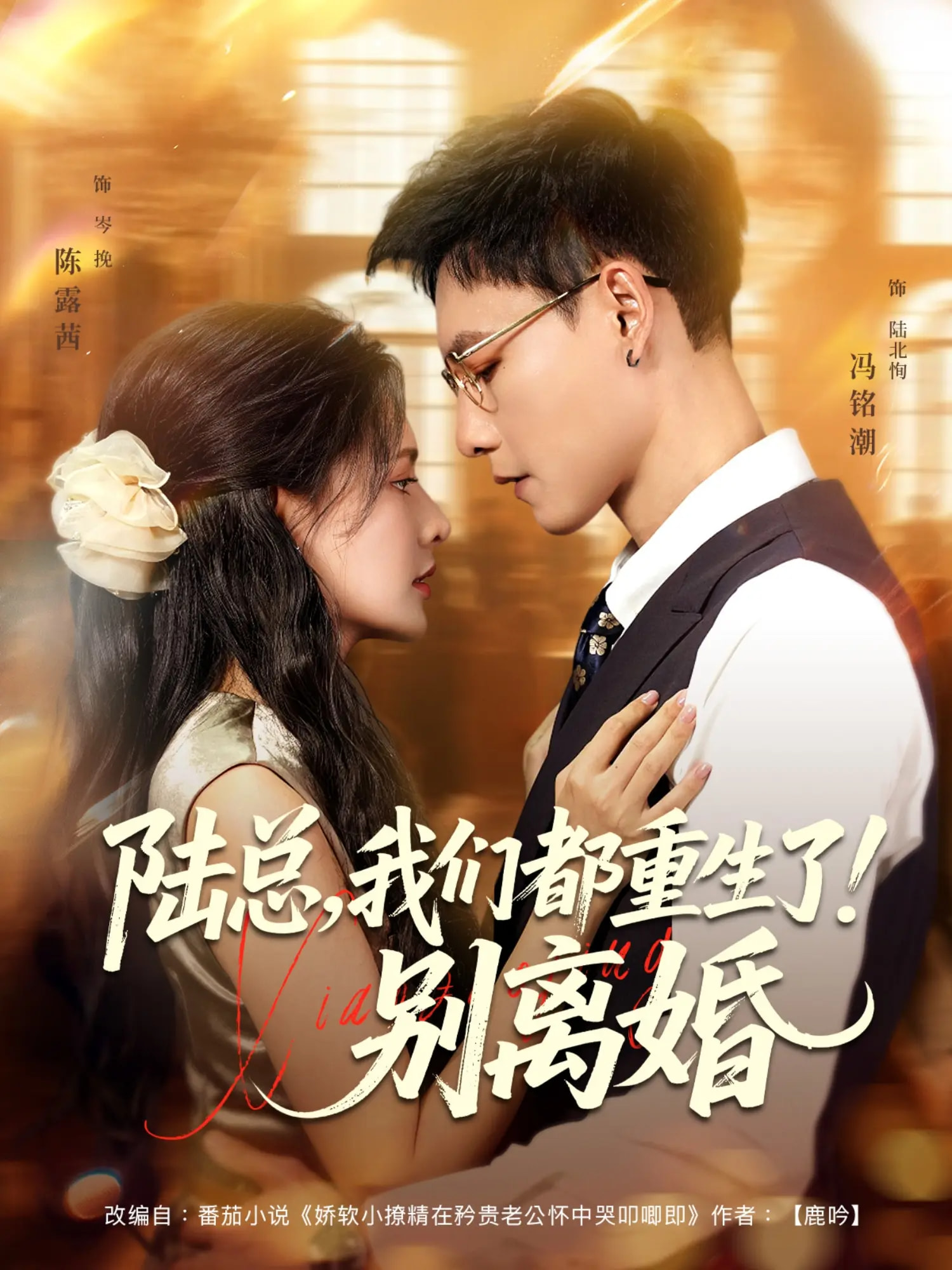 陆总我们都重生了别离婚(全集)